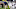 Penn State football Penn State football