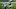 Green Bay Packers