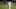 (Photo by Jeff Gross/Getty Images) – Los Angeles Dodgers (Photo by Jeff Gross/Getty Images) – Los Angeles Dodgers