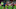 Arsenal, Nicolas Pepe Arsenal, Nicolas Pepe