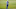 FORT WORTH, TEXAS – JUNE 14: Collin Morikawa of the United States reacts to a missed putt on the 18th green during the final round of the Charles Schwab Challenge on June 14, 2020 at Colonial Country Club in Fort Worth, Texas. (Photo by Ronald Martinez/Getty Images) FORT WORTH, TEXAS – JUNE 14: Collin Morikawa of the United States reacts to a missed putt on the 18th green during the final round of the Charles Schwab Challenge on June 14, 2020 at Colonial Country Club in Fort Worth, Texas. (Photo by Ronald Martinez/Getty Images)