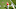 CLEMSON, SC – OCTOBER 07: Wide receiver Diondre Overton