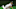 DraftKings DraftKings