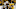 Nashville Predators Nashville Predators