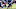 2021 NFL Playoffs 2021 NFL Playoffs
