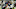 HOUSTON, TX – AUGUST 19: Ka’imi Fairbairn HOUSTON, TX – AUGUST 19: Ka’imi Fairbairn