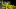 Oregon star defensive lineman Kayvon Thibodeaux can be the top pick in the 2022 NFL Draft. Oregon star defensive lineman Kayvon Thibodeaux can be the top pick in the 2022 NFL Draft.