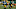 Green Bay Packers
