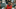EAST LANSING, MI – JANUARY 4: Bruno Fernando EAST LANSING, MI – JANUARY 4: Bruno Fernando