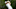Chesson Hadley Fantasy Golf Wells Fargo Championship