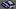 Landon Cassill, NASCAR Landon Cassill, NASCAR