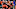 Cleveland Browns Cleveland Browns
