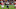 (Photo by Norm Hall/Getty Images) – LA Rams (Photo by Norm Hall/Getty Images) – LA Rams