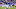 New York Giants Team Grades vs Philadelphia Eagles
