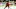 RALEIGH, NC – OCTOBER 29: Warren Foegele #13 of the Carolina Hurricanes skates for position on the ice during an NHL game against the Calgary Flames on October 29, 2019 at PNC Arena in Raleigh, North Carolina. (Photo by Gregg Forwerck/NHLI via Getty Images)