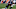 CHICAGO, IL – SEPTEMBER 10: Marcus Cooper