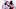 New Jersey Devils New Jersey Devils
