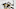 Boston Bruins Boston Bruins