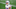 Buffalo Bills Buffalo Bills