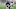 New England Patriots New England Patriots