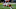 Madden 21 - Mecole Hardman Madden 21 - Mecole Hardman