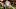 MADISON, WI – OCTOBER 15: Alex Hornibrook MADISON, WI – OCTOBER 15: Alex Hornibrook