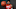 Houston Rockets Houston Rockets