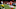 Kansas City Chiefs wide receiver Albert Wilson Kansas City Chiefs wide receiver Albert Wilson