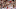 Sep 17, 2016; Norman, OK, USA; Oklahoma Sooners fans during the game against the Ohio State Buckeyes at Gaylord Family - Oklahoma Memorial Stadium. Mandatory Credit: Kevin Jairaj-USA TODAY Sports