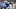 Detroit Lions Detroit Lions