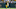 Green Bay Packers, Green Bay Packers,
