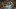 Karlan Grant Liverpool transfer news Karlan Grant Liverpool transfer news
