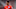Jude Bellingham will be aiming to break into the England starting XI. (Photo by Visionhaus/Getty Images) Jude Bellingham will be aiming to break into the England starting XI. (Photo by Visionhaus/Getty Images)