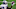 Dallas Cowboys Dallas Cowboys