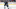 Toronto Maple Leafs Toronto Maple Leafs