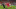 Andy Robertson, Liverpool