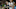 SOUTH BEND, IN – FEBRUARY 9: Donatas Zavackas SOUTH BEND, IN – FEBRUARY 9: Donatas Zavackas