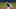Pitching