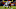 Chicago Bears, Jesper Horsted Chicago Bears, Jesper Horsted