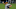 Chris Archer trade destinations Chris Archer trade destinations