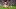 BAKU, AZERBAIJAN – MAY 29: Alex Iwobi of Arsenal scores his team’s first goal during the UEFA Europa League Final between Chelsea and Arsenal at Baku Olimpiya Stadionu on May 29, 2019 in Baku, Azerbaijan. (Photo by Dan Mullan/Getty Images) BAKU, AZERBAIJAN – MAY 29: Alex Iwobi of Arsenal scores his team’s first goal during the UEFA Europa League Final between Chelsea and Arsenal at Baku Olimpiya Stadionu on May 29, 2019 in Baku, Azerbaijan. (Photo by Dan Mullan/Getty Images)