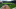 FanDuel MLB FanDuel MLB