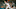 Houston Astros Houston Astros