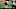 Bijan Robinson, Texas Football