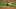 Cleveland Indians Cleveland Indians