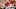College Football Playoff College Football Playoff