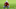 WGC-Bridgestone WGC-Bridgestone