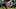 Green Bay Packers Green Bay Packers