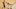 ncaa final four predictions 2014 ncaa final four predictions 2014