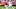 Kadarius Toney, 2021 NFL Draft Kadarius Toney, 2021 NFL Draft